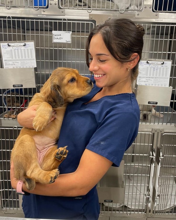 Середня ветеринарна школа в Брно