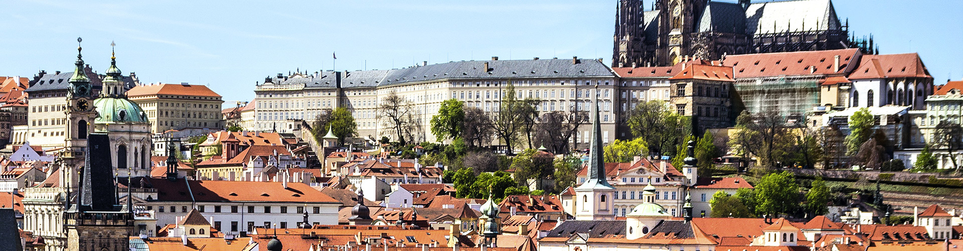 Chiroyli eshak va uning ichida jinsiy olat